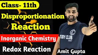 Disproportionation Reaction  Redox Reaction  Class 11  Chapter 8  Chemistry  Amit Gupta [upl. by Audrye]