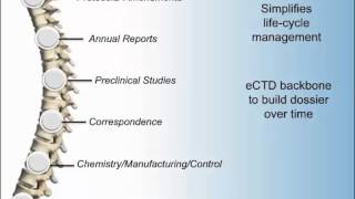 eCTD Submissions Electronic Common Technical Document with CTI [upl. by Sieracki]