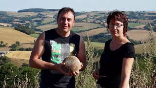 Les Bergers du Larzac  Documentaire de 35 min [upl. by Lurleen668]