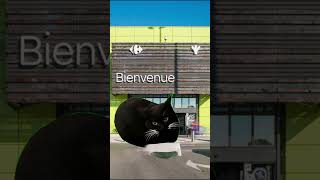 LE CONCOMBRE cat chat memes drole bananacat humor [upl. by Perice534]