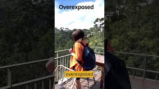 Fix iPhone HDR overexposed problem in Premiere Pro [upl. by Anyalram]