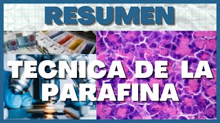 Tecnica Histologica Preparación del Tejido 7 Pasos [upl. by Yedok]