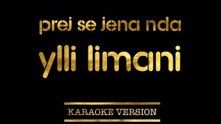 Ylli Limani  Prej se jena nda Karaoke Version [upl. by Akeylah663]