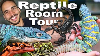 Exotic amp Rare Reptile Room Tour [upl. by Monroe]