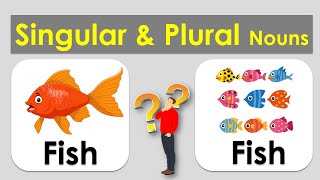 Singular and Plural nouns  with pictures in English for kids [upl. by Ferneau]