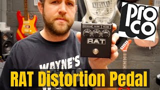 ProCo RAT 2 Distortion Pedal  Pedalboard Essentials [upl. by Laurent]