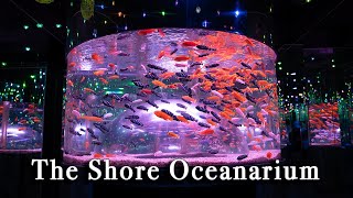 The Shore Oceanarium Malacca Malaysia【Full Tour in 4k】 [upl. by Bellamy]