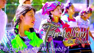 Torbellino De Oaxaca Tema  Estrellita De Mi Pueblo [upl. by Vinita]