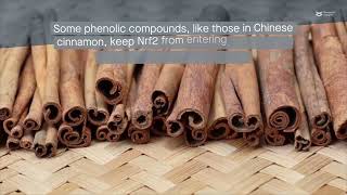 Phenolic compounds Natural anticancer agents [upl. by Jueta]