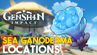 Genshin Impact Sea Ganoderma Locations Kazuha Upgrade Material [upl. by Dloraj]