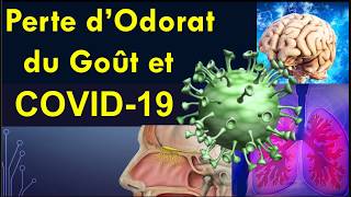 Covid19 Perte dodorat de gout dappétit et Maladie Neurologique par infection au Coronavirus [upl. by Decato]