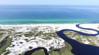 Florida Travel Explore Grayton Beach State Park in South Walton [upl. by Ahcrop27]