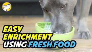 Easy Enrichment using Fresh Dog Food [upl. by Bonita]