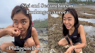 Sea Urchin and sisi in Borlongan Aurora  Philipine Loop  Norme Garcia [upl. by Amrak399]