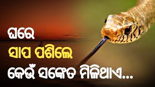 ଘରେ ସାପ ପଶିଲେ କେଉଁ ସଙ୍କେତ ମିଳେ  Ghare Sapa Pasile Keun Sanketa Mile [upl. by Eniffit]