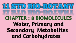 11 std BioBotany chapter  8 Biomolecules  Water Primary Secondary Metabolites and carbohydrates [upl. by Stearn]