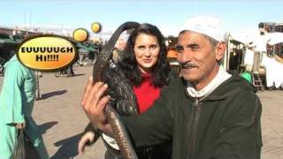 The Snake Charmers  Marrakech Morocco [upl. by Esertap6]