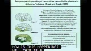It Takes Tau to Tangle  Plaques Tangles and Neurodegenerative Disease [upl. by Cyrille]