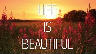 Life is BEAUTIFUL  Inspirational Video [upl. by Branen]