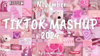 Tiktok Mashup November 💗2024💗 Not Clean [upl. by Inirt]