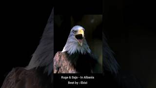 Ruge  In Albania 🇦🇱 shorts eagles crows [upl. by Mirilla156]