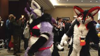 Texas Furry Fiesta 2019 Fursuit Parade [upl. by Notlok]