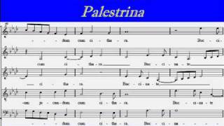 Exultate Deo  Palestrina  Alto 1 [upl. by Audwin]