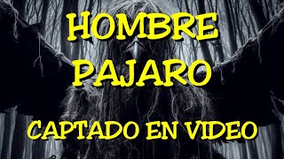 LOS DESVELADOS  HOMBRE PAJARO CAPTADO EN VIDEO [upl. by Einahc]