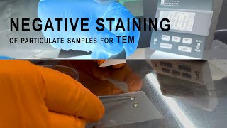 Negative staining of particulate samples for TEM [upl. by Fleisher]