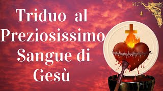 🔴 Recita questo Triduo al Preziosissimo Sangue di Gesù il 282930 Giugno 🙏🙏🙏💖 [upl. by Norret]