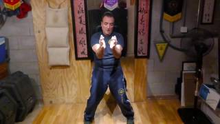 Simply Wing Chun Kuen  Siu Nim Tao part 2 [upl. by Epoh]