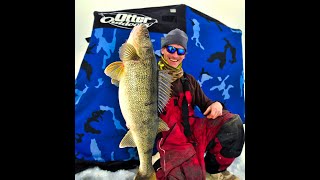 Giant 13lb Walleye caught Ice Fishing Chaumont Bay NY [upl. by Yddur121]