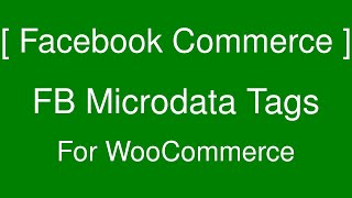 Check for Facebook Microdata Tags for WooCommerce  Tags to Auto Sync Products to FB Shop [upl. by Sulamith]