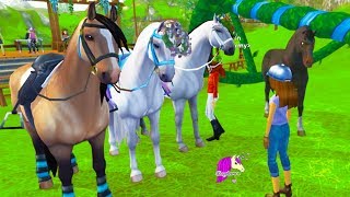 Festival  Mistfall Rangers  Star Stable Online Horse Lets Play Quest Game [upl. by Soren]