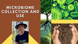 Microbiome Collection and Use  Easy Soil and Rice Method [upl. by Rasla792]