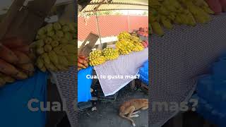 Quieres anonas elsalvador anonas zapotes mangos jocotes nances durasnos frutastropicales [upl. by Ume]