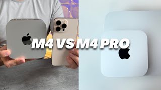 M4 Mac Mini vs M4 Pro Mac Mini Is the Upgrade Worth 800 [upl. by Ross]