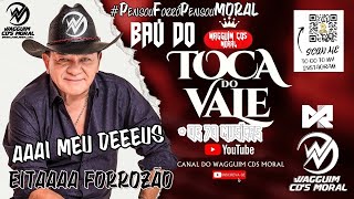 BAÚ TOCA DO VALE O REI DO FORRÓ  DE 70 MÚSICAS AS MELHORES CANALDOWAGGUIMCDSMORAL ALVEJANTE FÉ [upl. by Wester]