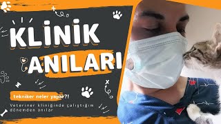 Laborant ve Veteriner Sağlık  Veteriner Kliniğinde Neler Yaptım [upl. by Yeldud352]