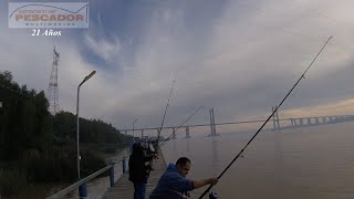 TORNEO DE PESCA 2023 CLUB GUAZU  CAÑAS TELESCOPICAS  978 [upl. by Ahsait]