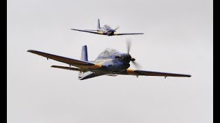 TWO LARGE SCALE RC EMBRAER 312 TUCANO TURBO PROP ATTACK AIRCRAFT  LMA RAF COSFORD  2017 [upl. by Naeloj]