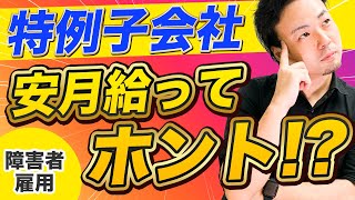 【障害者雇用】特例子会社は安月給ってホント【デメリット】 [upl. by Rannug]