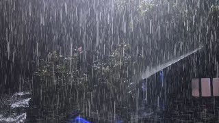 Rain Sounds For Sleeping  Natural Rain Sounds For Relaxing Studying Sleeping ASMR [upl. by My]