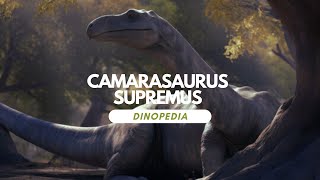 Dinopedia  Camarasaurus supremus [upl. by Sucramat]