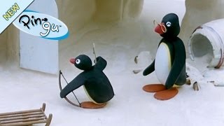 Pingu the Archer  Pingu Official Channel [upl. by Xylina388]