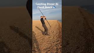 Catching Dinner At Chesil Beach 🐟 fishing chesilbeach bream seafishing shorefishing bass fyp [upl. by Hoon]