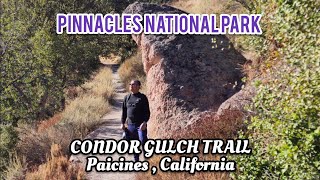 A hike at Condor Gulch Trail Pinnacles National Park Paicines California [upl. by Kirt247]