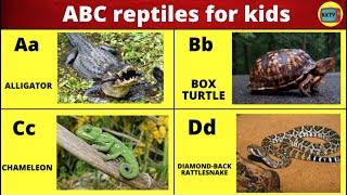 ABC reptiles for kids [upl. by Betthezul872]