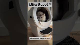 Unboxing The LitterRobot 4 LitterRobot catshorts catvideos litterrobot ad catlovers [upl. by Ycnaf]