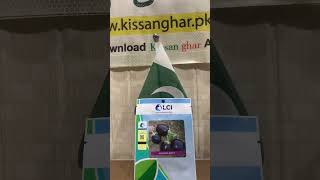 Advanta 303 Brinjal Egg plant hybrid Seed Of LCI  ICI  Kisan Ghar  bengun [upl. by Naux]